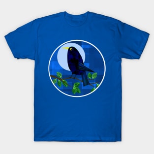 Blackbird at Night T-Shirt